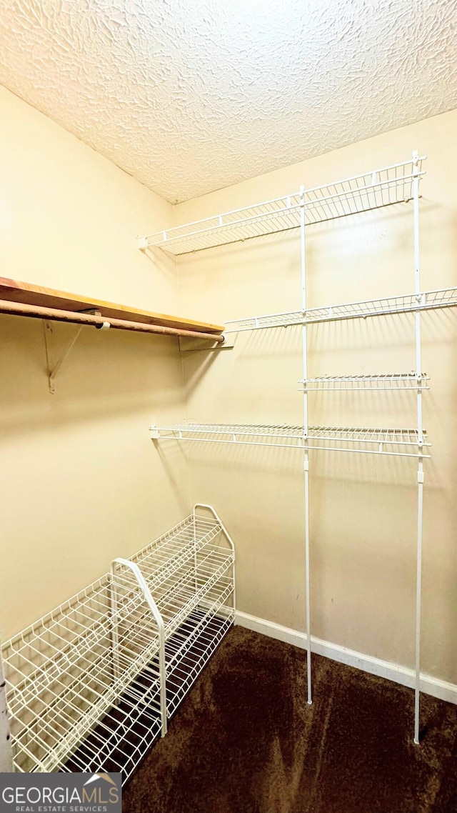 spacious closet featuring carpet floors