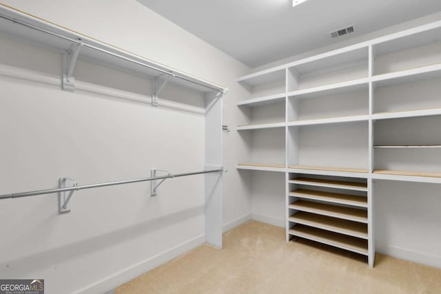 spacious closet with light carpet