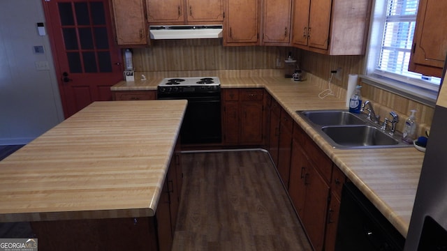 kitchen featuring sink, dark hardwood / wood-style floors, and electric range oven