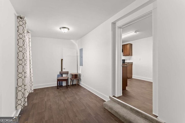 hall with electric panel and dark hardwood / wood-style flooring