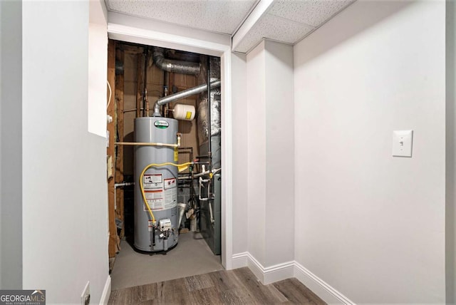 utility room featuring gas water heater