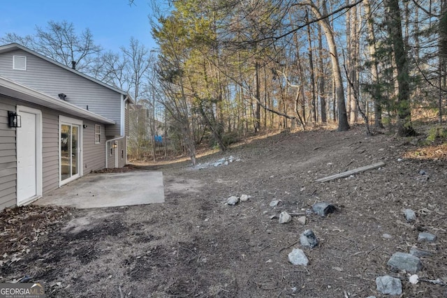 view of yard featuring a patio