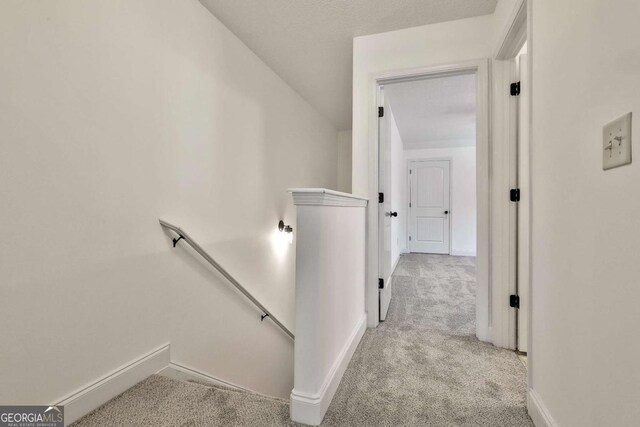 stairway featuring lofted ceiling and carpet floors