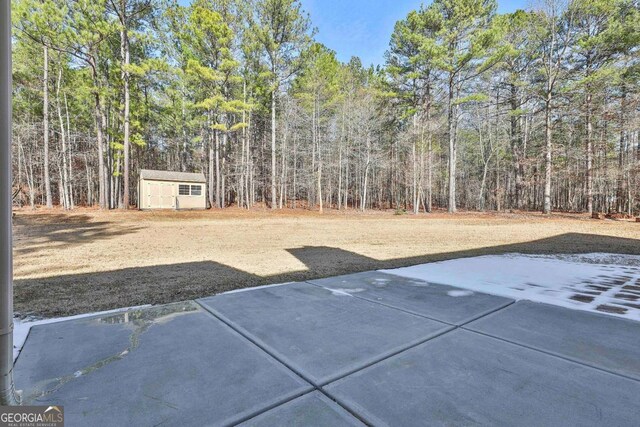 view of yard with a patio and a storage shed