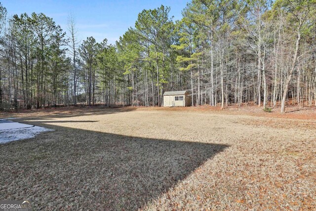 view of yard with a storage shed