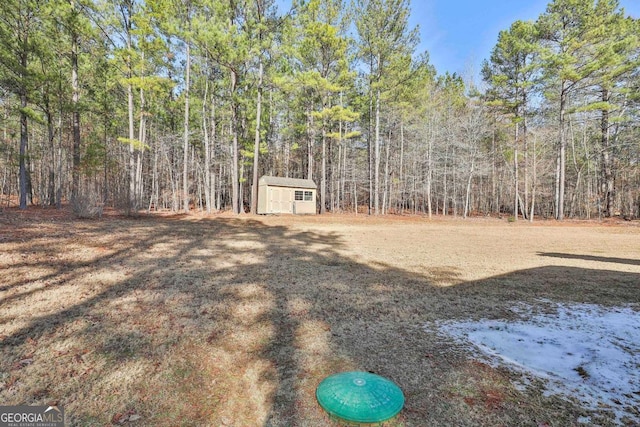 view of yard featuring a shed