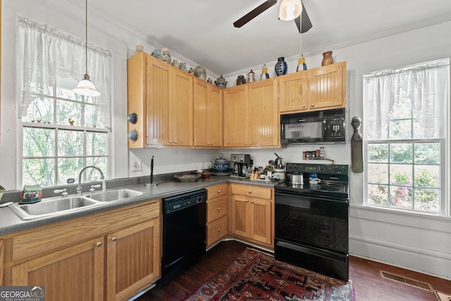 kitchen with dark hardwood / wood-style flooring, black appliances, a wealth of natural light, and sink