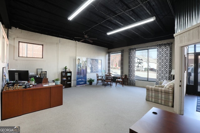 office featuring ceiling fan and carpet