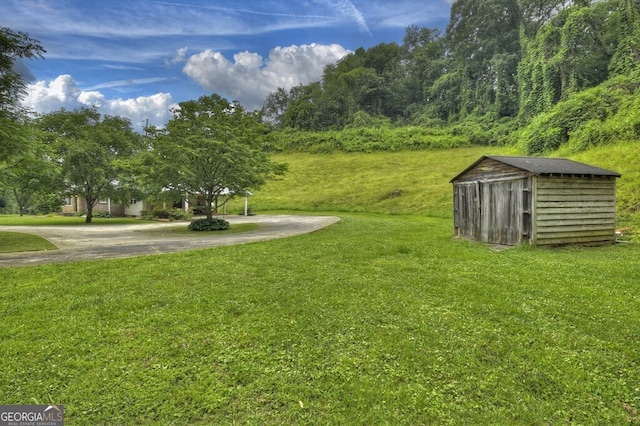 view of yard with a storage shed