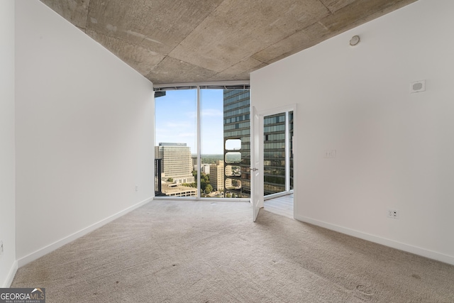 carpeted empty room with a wall of windows