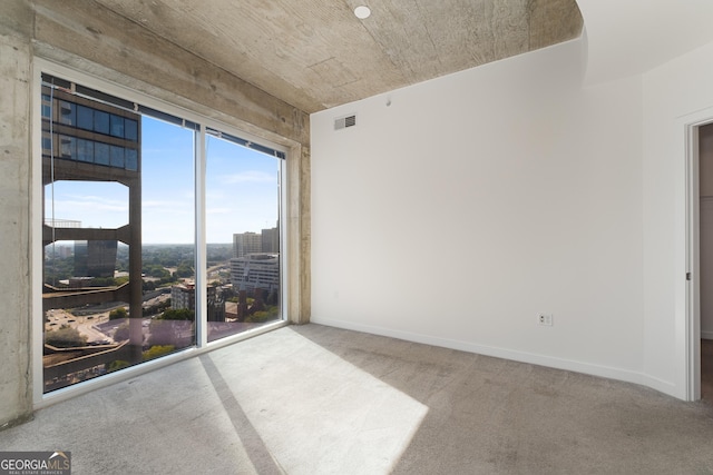 spare room featuring carpet flooring