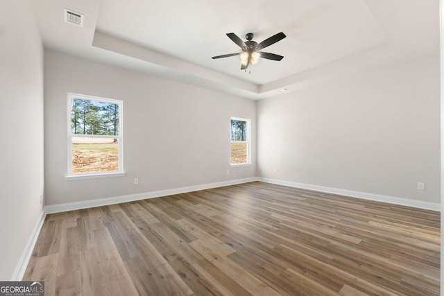 empty room featuring a wealth of natural light, light hardwood / wood-style flooring, and a raised ceiling