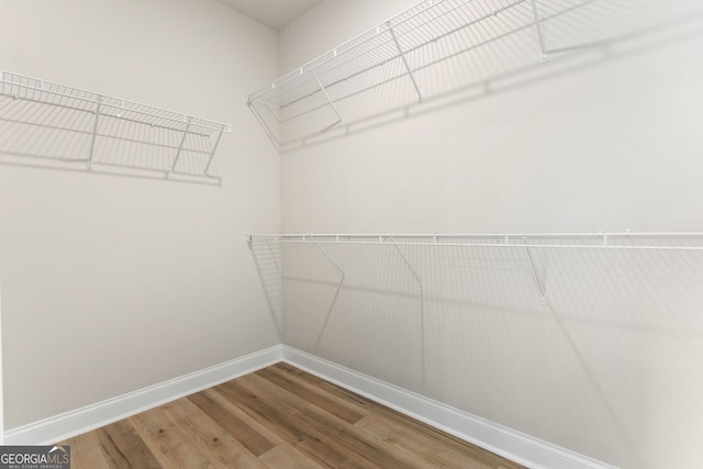 walk in closet featuring hardwood / wood-style floors