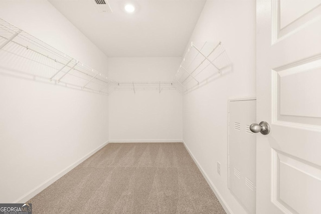 spacious closet featuring carpet floors