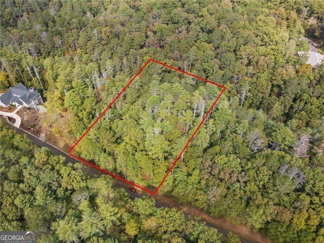 L122 Trout Line Ct, Talking Rock GA, 30175 land for sale