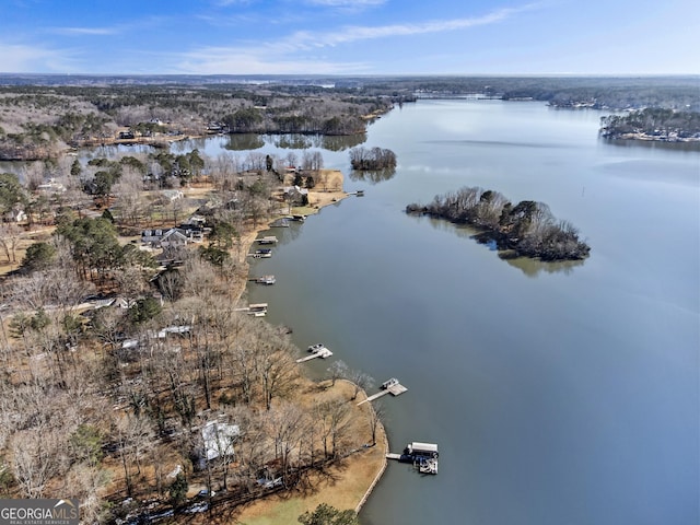 bird's eye view featuring a water view