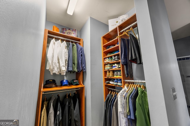 view of spacious closet