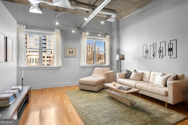 living room featuring hardwood / wood-style floors