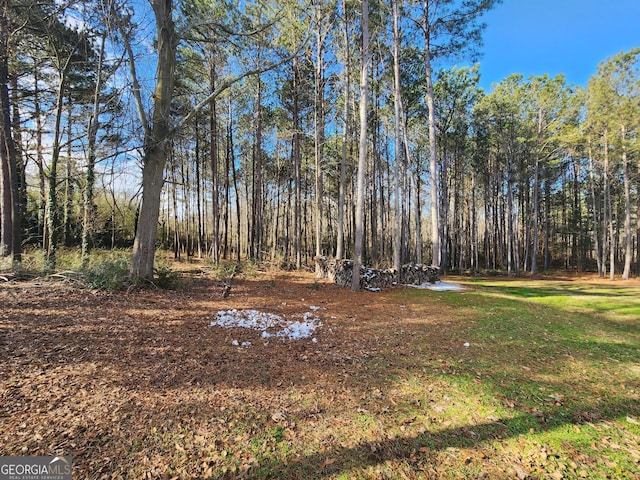 view of yard with a wooded view