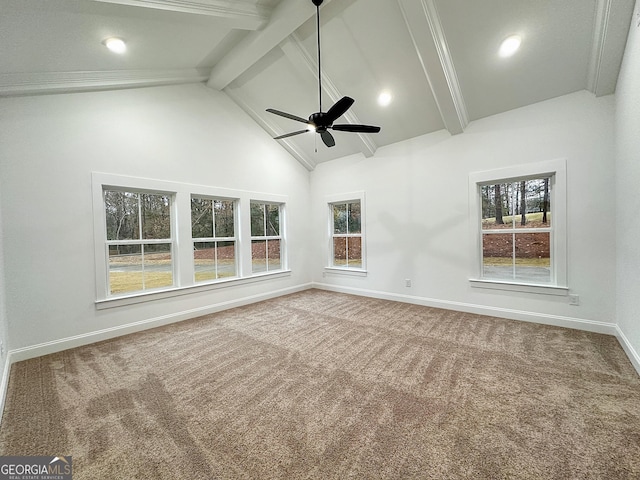 empty room with carpet flooring, a wealth of natural light, and beam ceiling