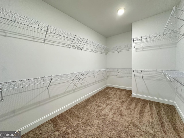 spacious closet with carpet