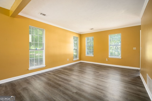 unfurnished room featuring ornamental molding and plenty of natural light