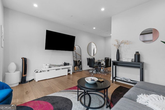 living room featuring wood-type flooring