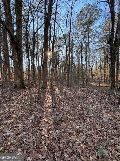 315 N Lake Cir, Oxford GA, 30016 land for sale