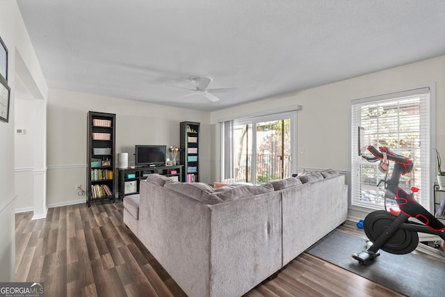 living room with ceiling fan and dark hardwood / wood-style floors