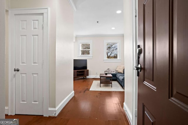 corridor featuring ornamental molding and dark hardwood / wood-style floors