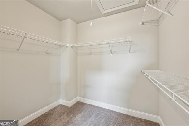 spacious closet with carpet