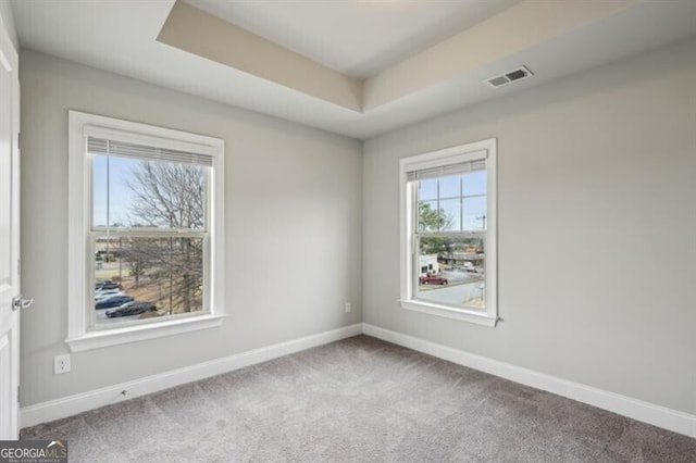 spare room with a raised ceiling and carpet