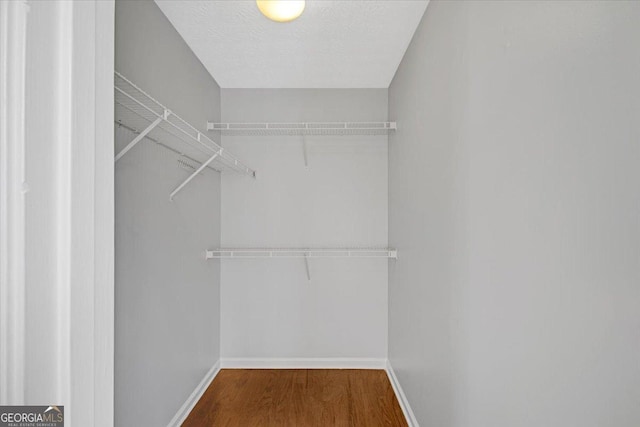 spacious closet featuring wood-type flooring