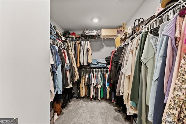 spacious closet with carpet flooring