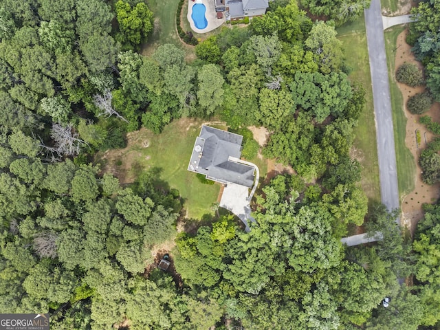 bird's eye view