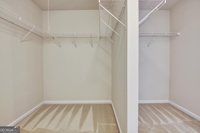 spacious closet featuring carpet