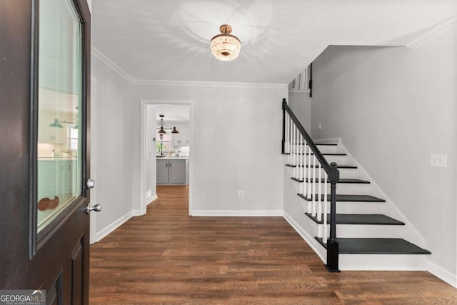 foyer entrance featuring crown molding and dark hardwood / wood-style floors