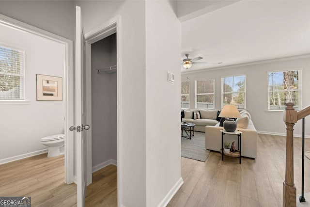 corridor featuring ornamental molding and light hardwood / wood-style flooring