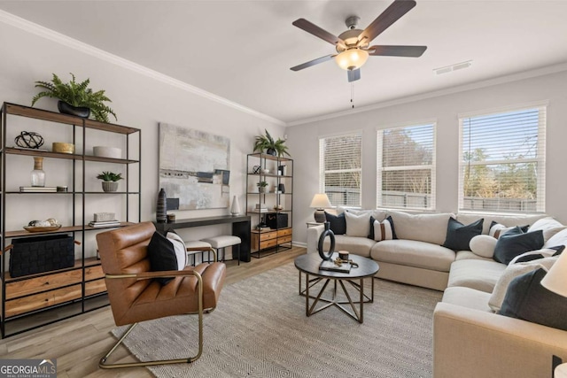 living room featuring ceiling fan, light wood-type flooring, and crown molding