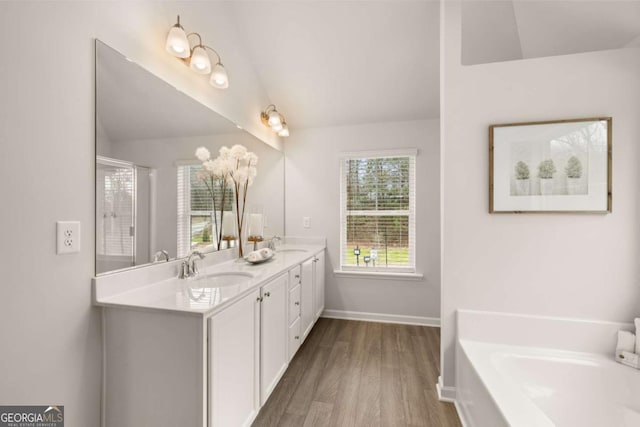 bathroom with hardwood / wood-style floors, plus walk in shower, and vanity