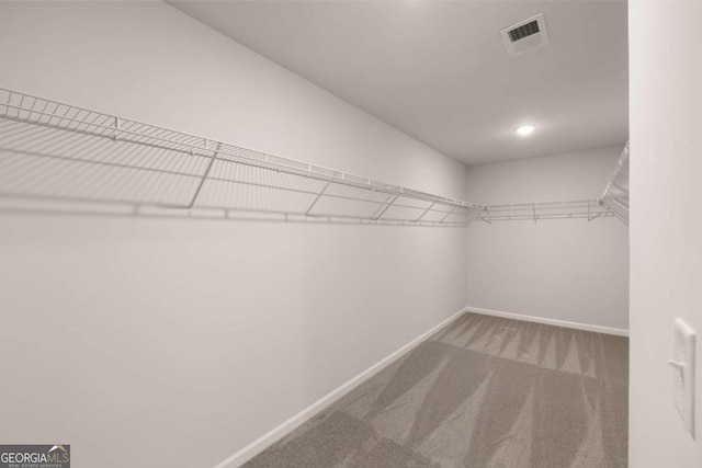 spacious closet with carpet floors