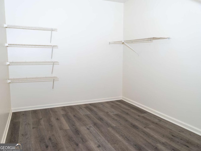 spacious closet featuring dark hardwood / wood-style floors