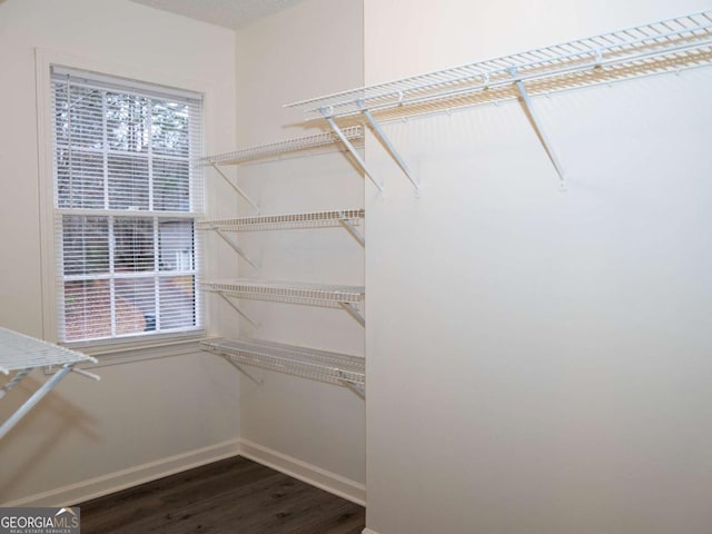 walk in closet with dark wood-type flooring