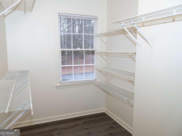 walk in closet featuring dark hardwood / wood-style floors