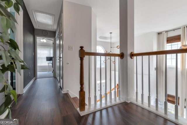 corridor with dark hardwood / wood-style flooring and a healthy amount of sunlight