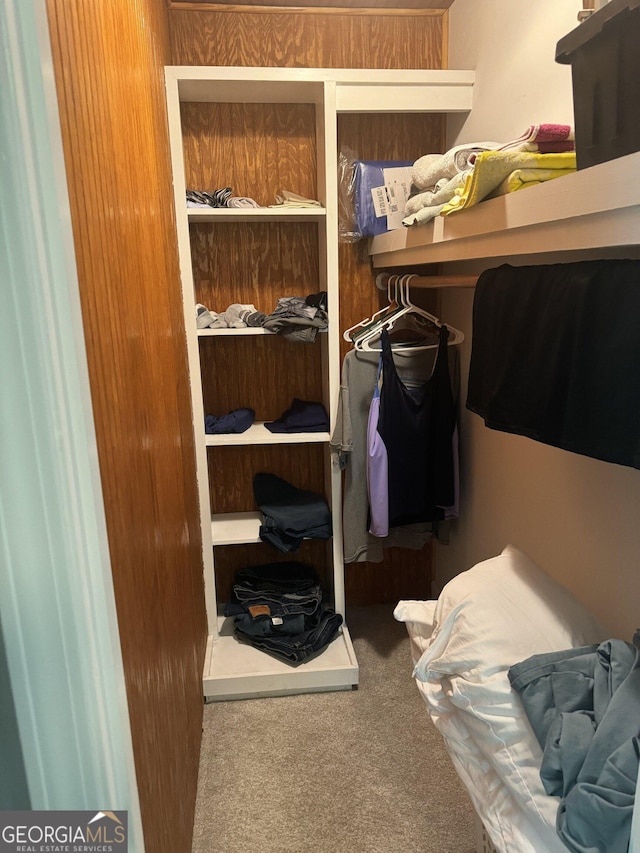 spacious closet with carpet flooring