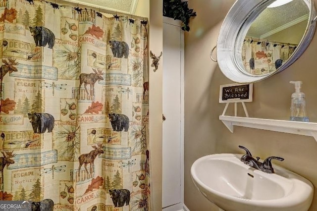 bathroom featuring sink