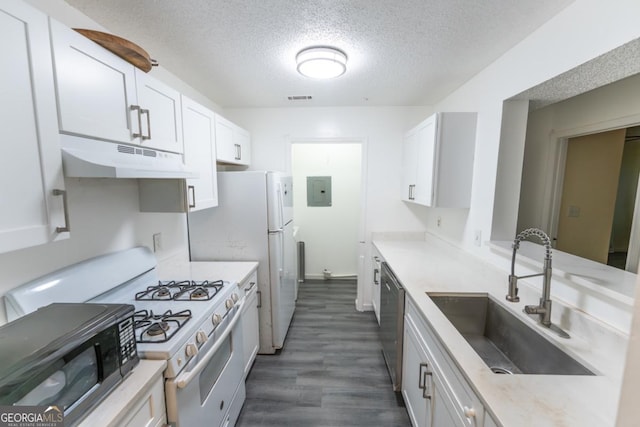 kitchen with sink, dark hardwood / wood-style flooring, white cabinets, and appliances with stainless steel finishes