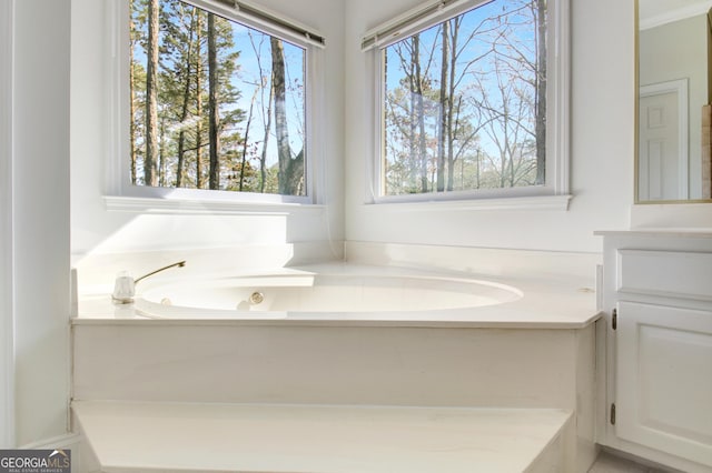 bathroom with a tub to relax in and vanity