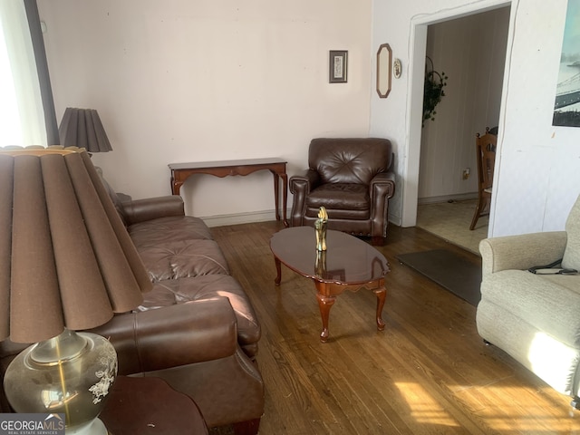 living room with hardwood / wood-style flooring